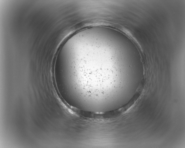 X0000061761189200512161735