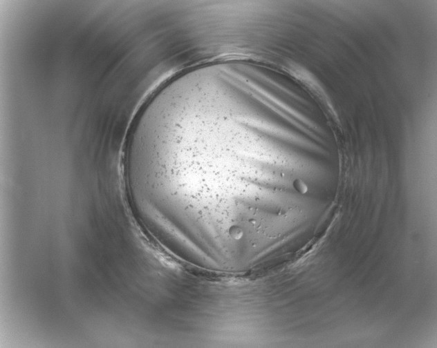 X0000061761190200512161735