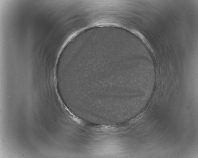 X0000061761191200512161735