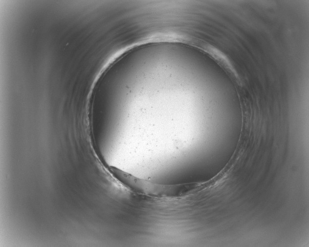 X0000061761192200512161735