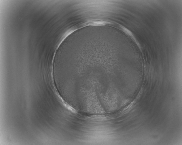 X0000061761194200512161735