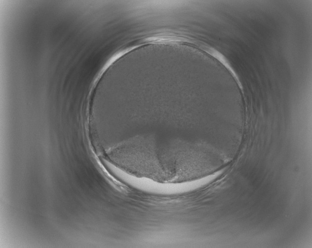 X0000061761195200512161735