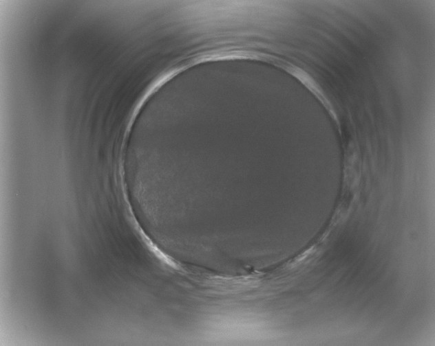 X0000061761197200512161735