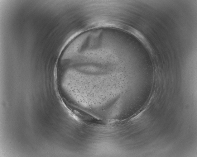 X0000061761198200512161735