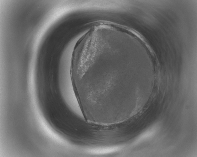 X0000061761199200512161735