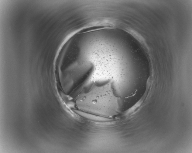 X0000061761200200512161735