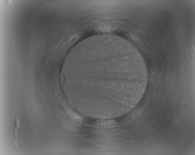 X0000061761201200512161734