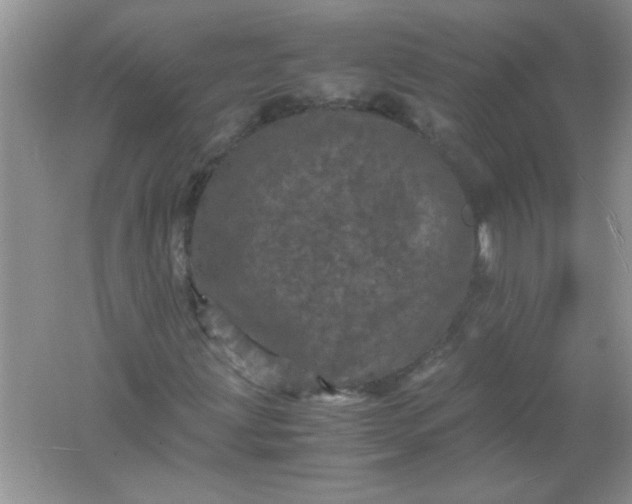 X0000061761203200512161734