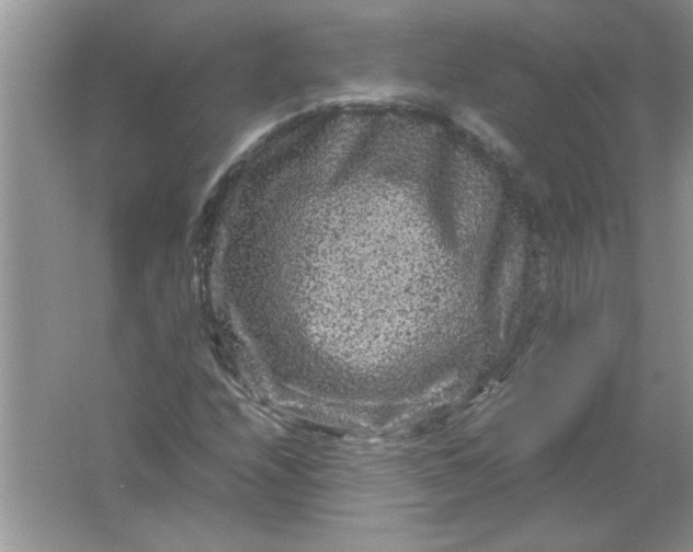 X0000061761208200512161734