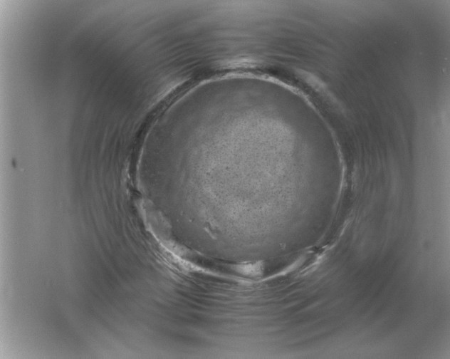 X0000061761209200512161734