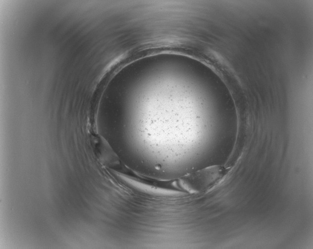 X0000061761210200512161734