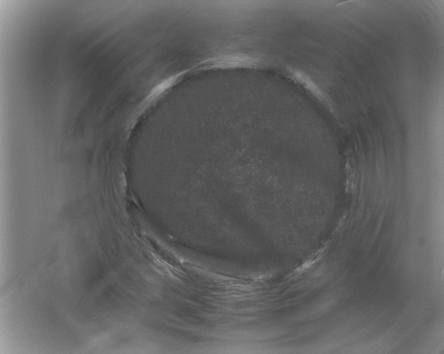 X0000061761213200512161734