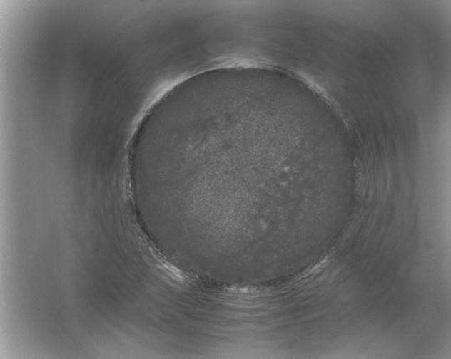 X0000061761215200512161734