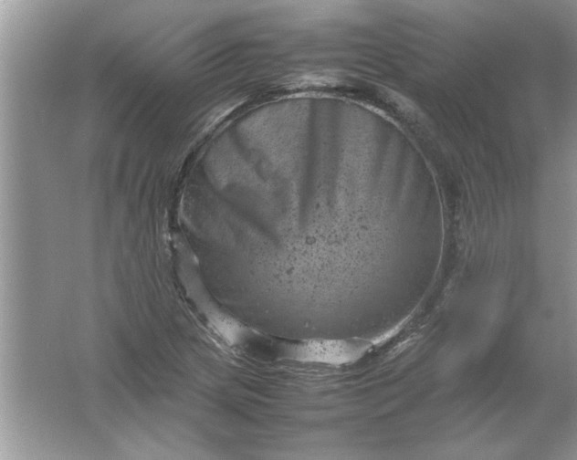 X0000061761217200512161734