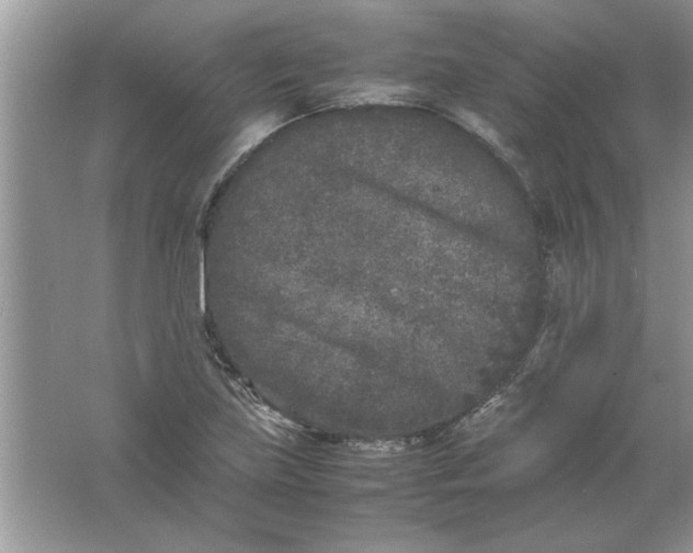 X0000061761219200512161734