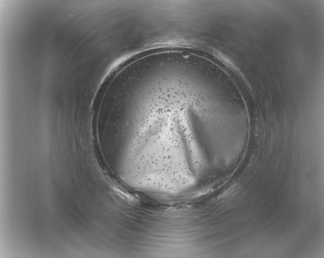 X0000061761222200512161734