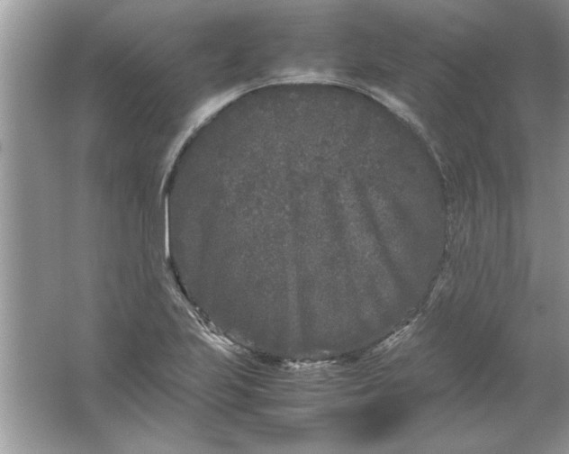 X0000061761223200512161734