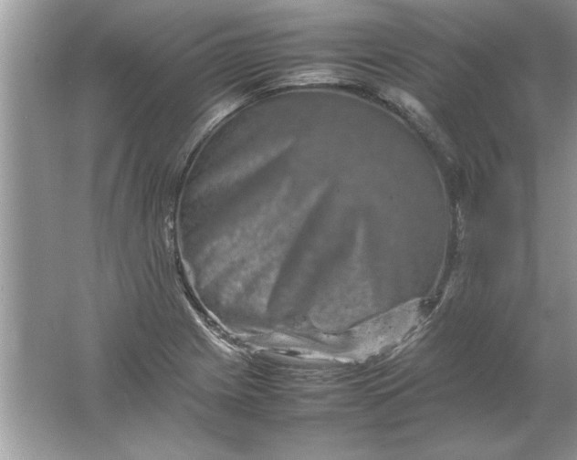 X0000061761225200512161734