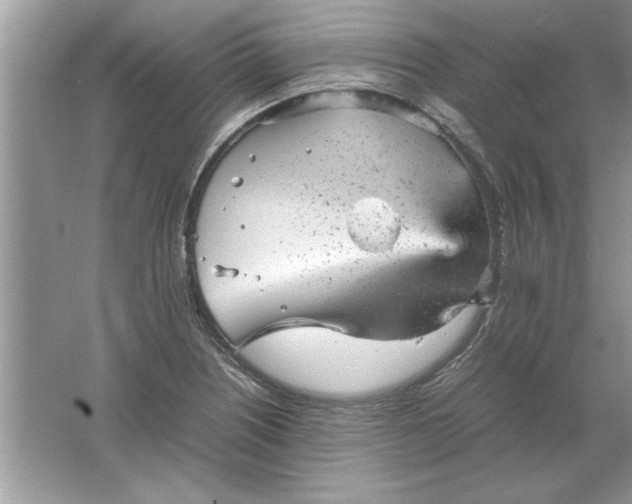 X0000061761226200512161734