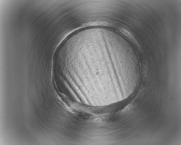 X0000061761228200512161735