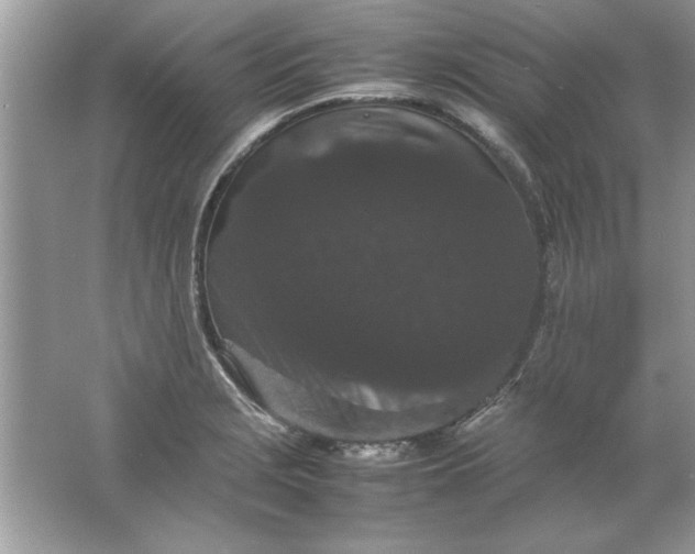 X0000061761229200512161735