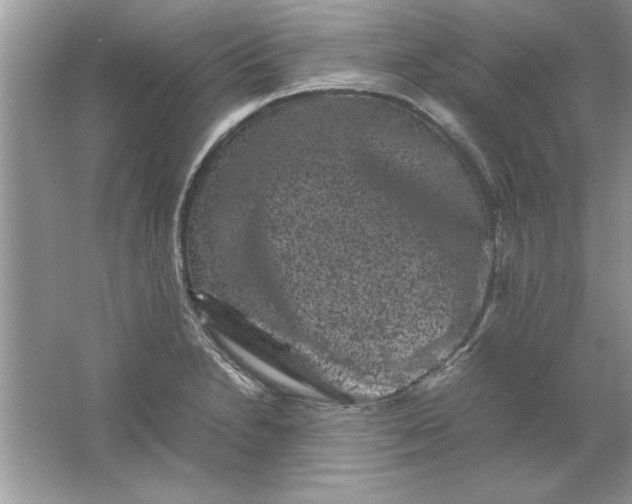 X0000061761230200512161735