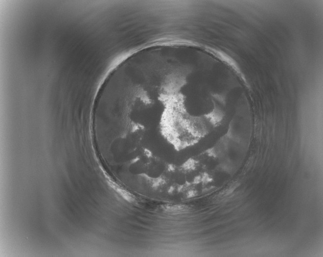 X0000061761231200512161735