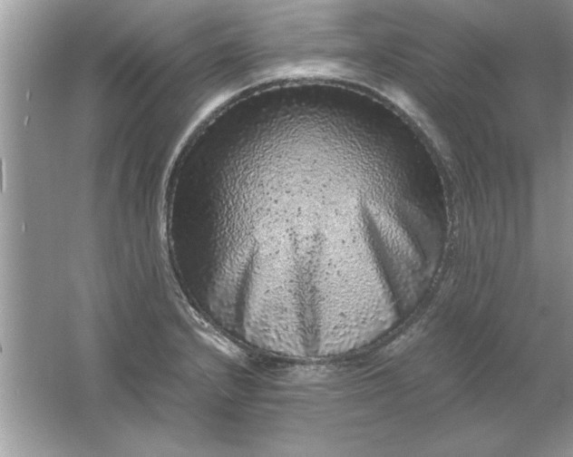 X0000061761232200512161735