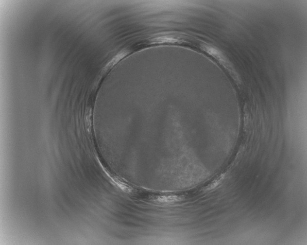 X0000061761233200512161735