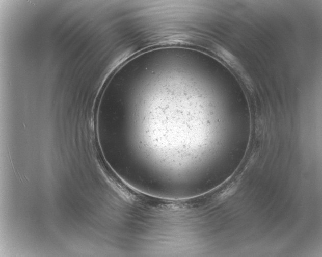 X0000061761234200512161735