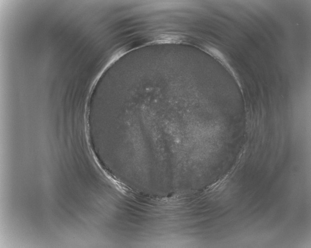 X0000061761235200512161735