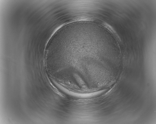 X0000061761236200512161735