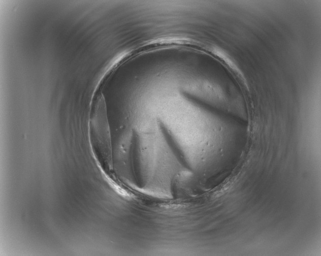 X0000061761237200512161735