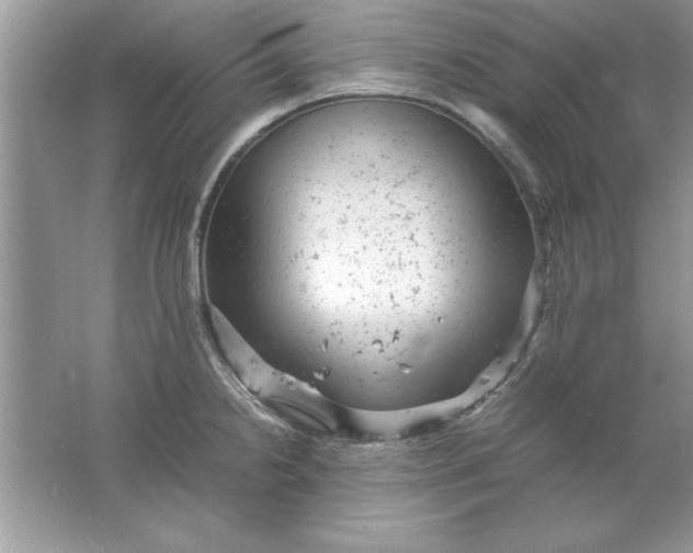 X0000061761238200512161735