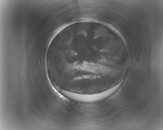 X0000061761239200512161735