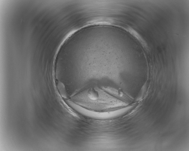 X0000061761240200512161735