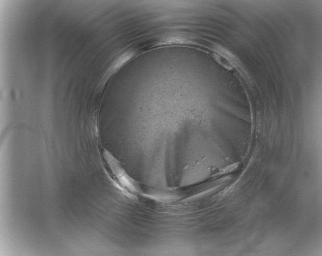 X0000061761241200512161735