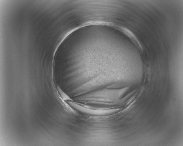 X0000061761244200512161735