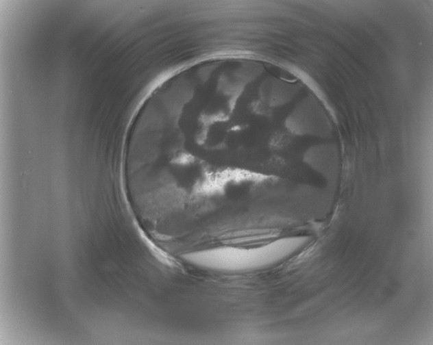 X0000061761245200512161735