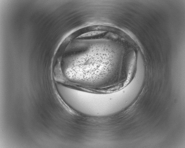 X0000061761246200512161735