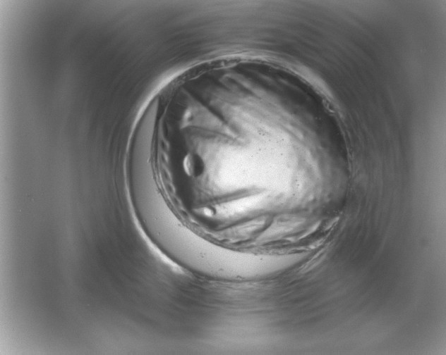 X0000061761247200512161735