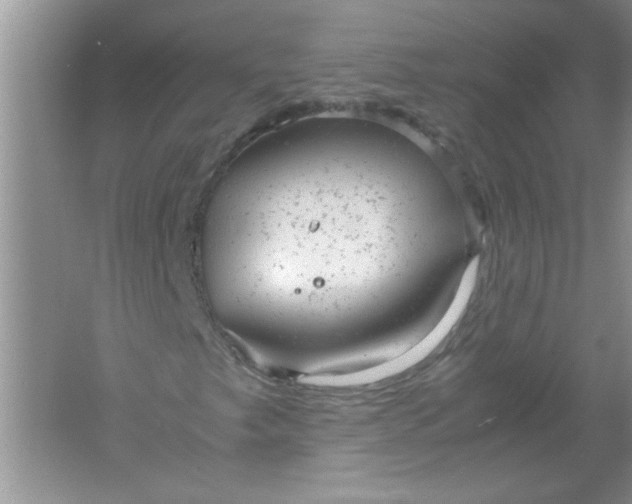 X0000061761249200512161734