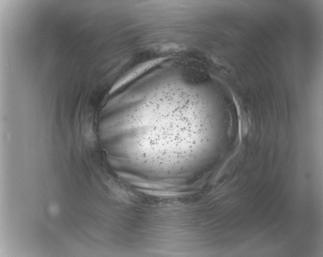 X0000061761250200512161734