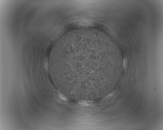 X0000061761251200512161734