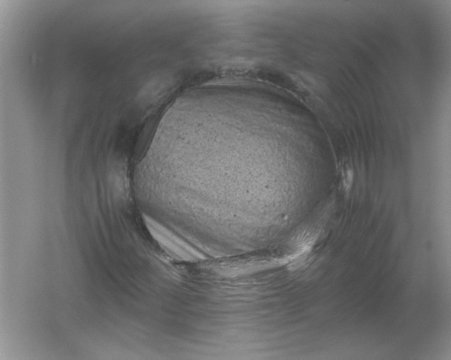 X0000061761252200512161734