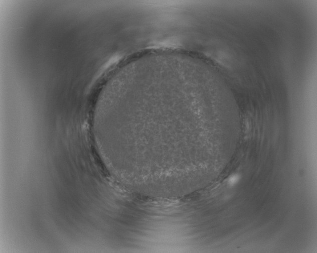 X0000061761254200512161734