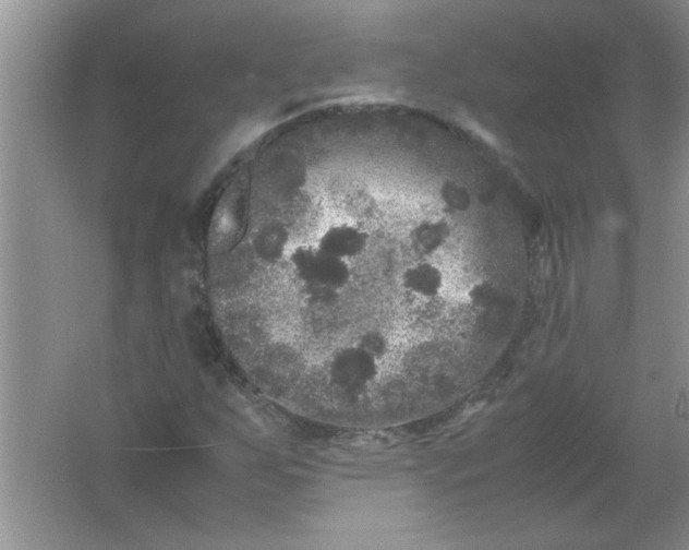 X0000061761255200512161734