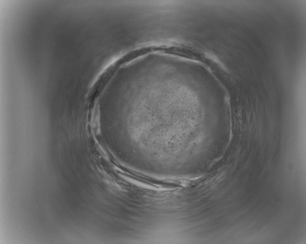 X0000061761256200512161734