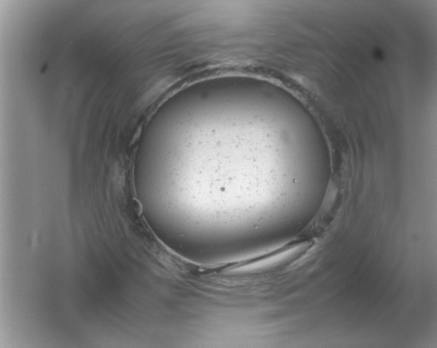 X0000061761257200512161734