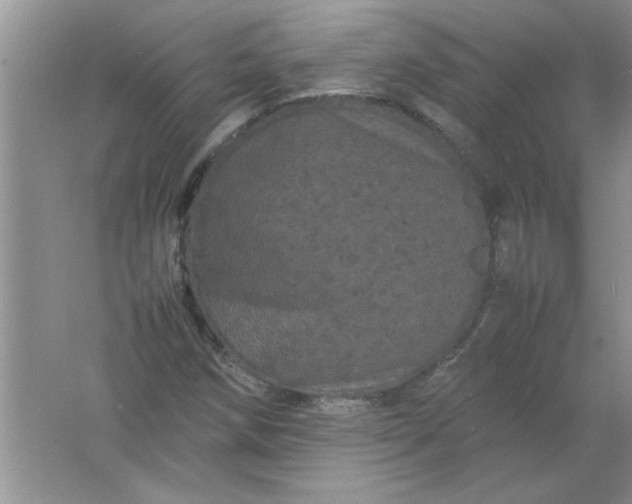 X0000061761258200512161734